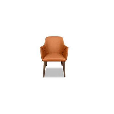 Comfortable Brown Shell Chair